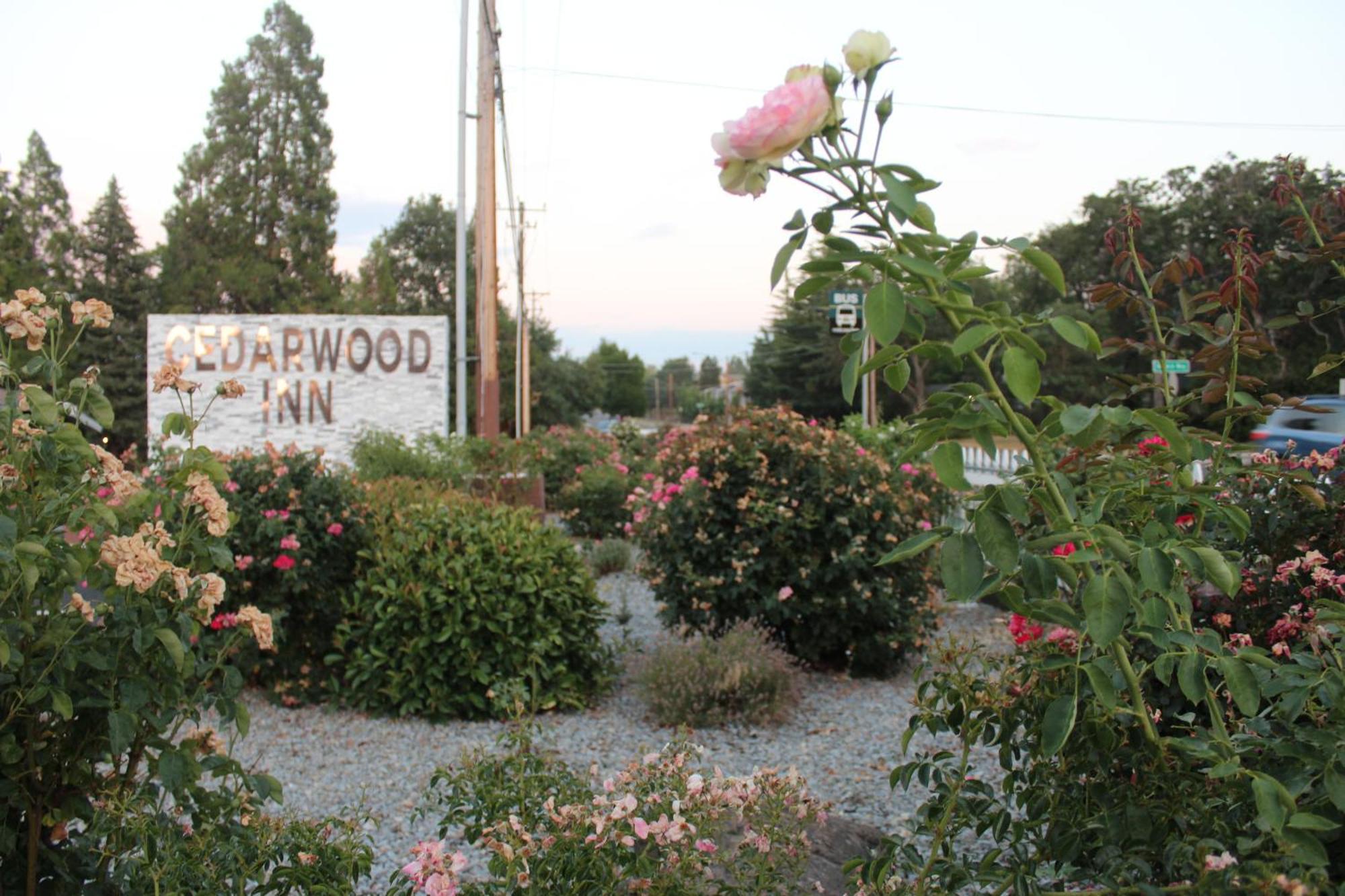 Cedarwood Of Motel 2*
