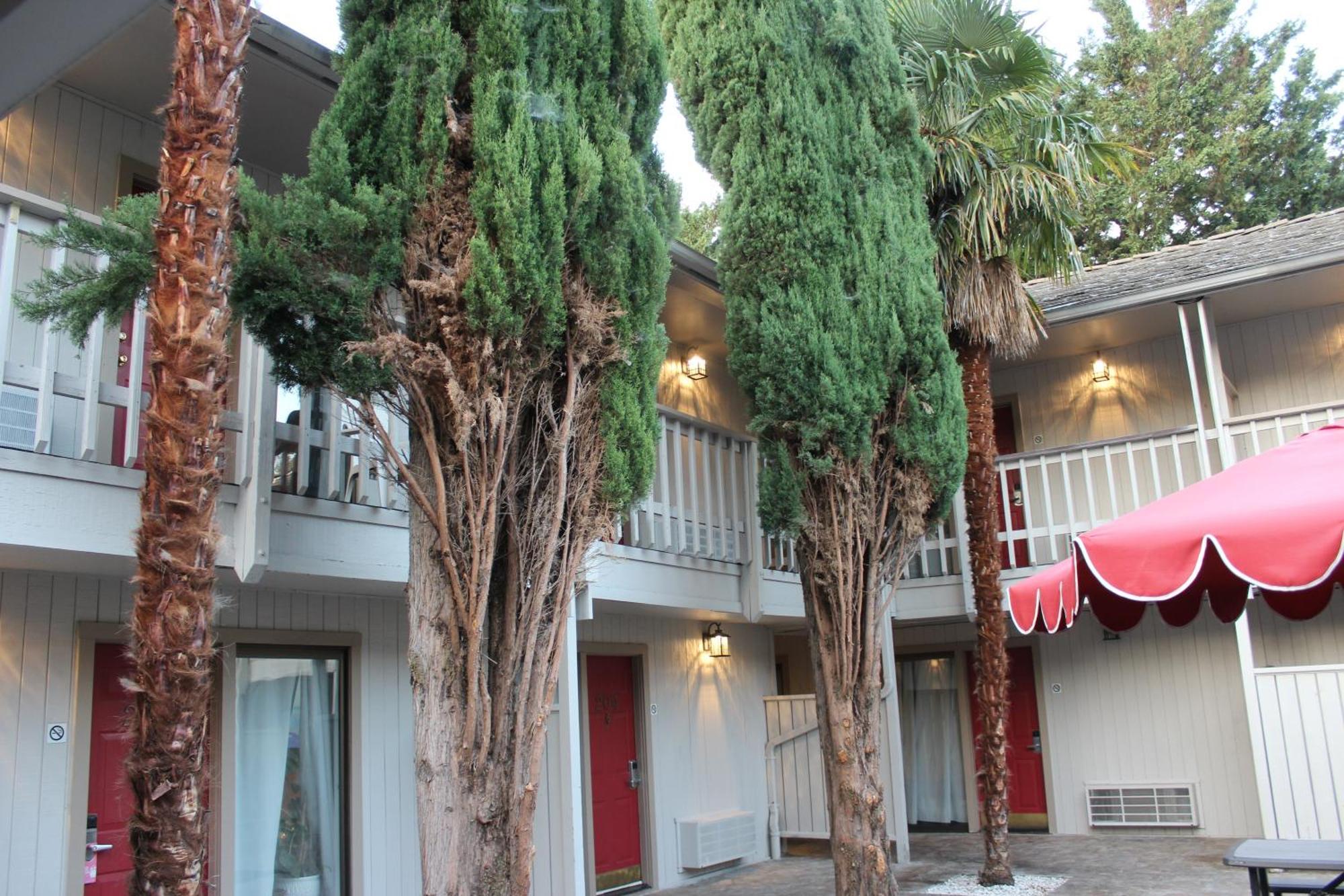 Cedarwood Of Motel Ashland